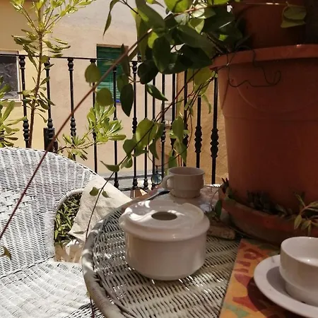 Ventura Homestay