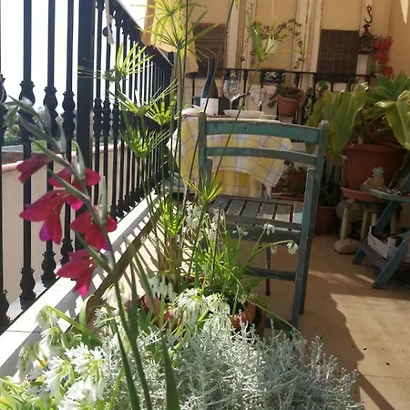 Homestay Ventura *